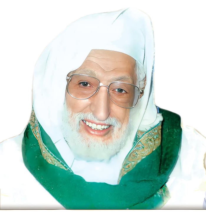 صورة الإمام مجدالدين المؤيدي