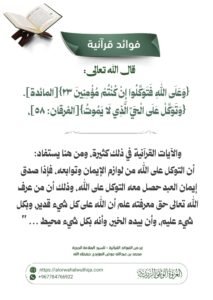 tg 1786626473 file 82