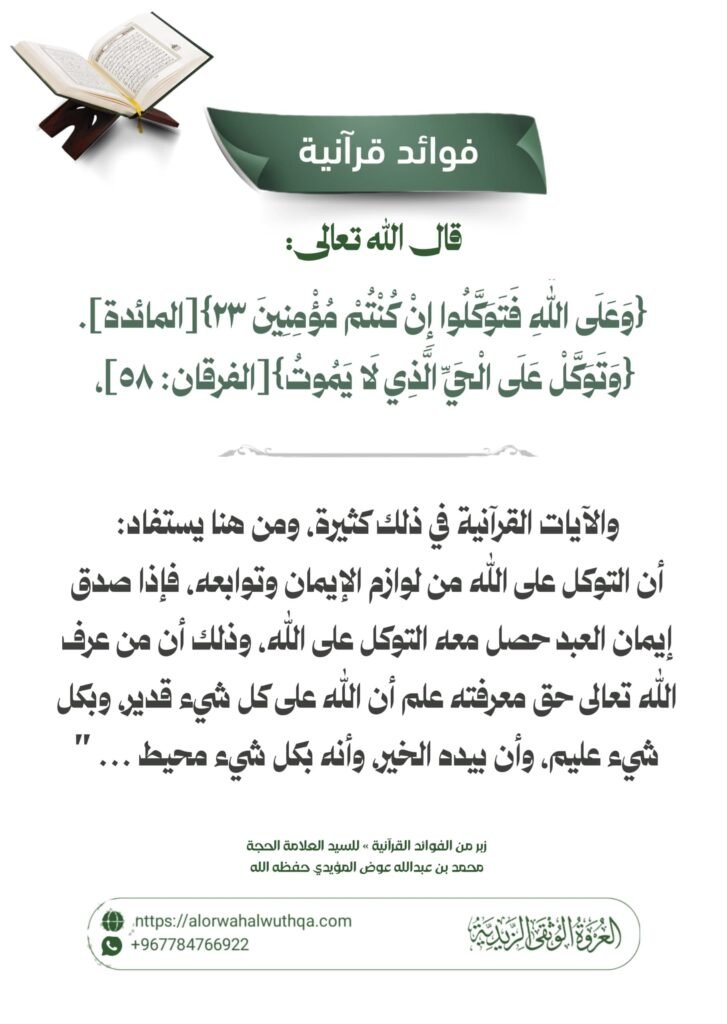 tg 1786626473 file 82